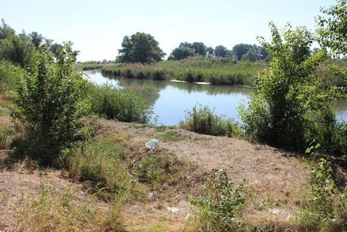 Российские дачники своими руками превратили поросший берег реки в пляж пляж своими руками, превратили берег реки в пляж