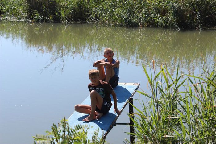 Российские дачники своими руками превратили поросший берег реки в пляж пляж своими руками, превратили берег реки в пляж