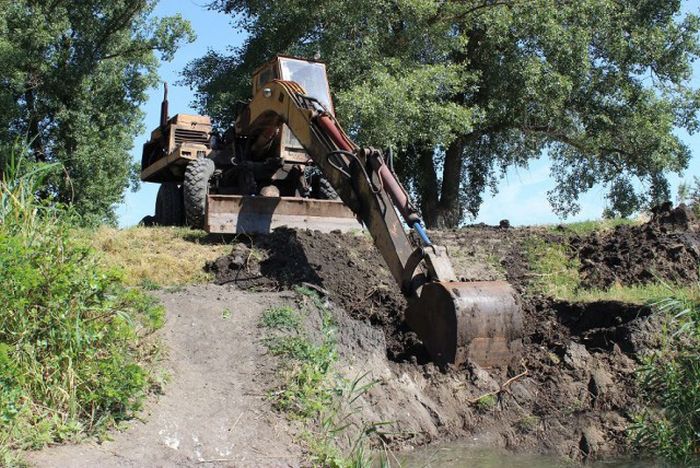 Российские дачники своими руками превратили поросший берег реки в пляж пляж своими руками, превратили берег реки в пляж
