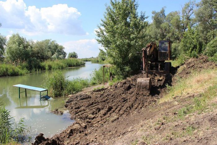 Российские дачники своими руками превратили поросший берег реки в пляж пляж своими руками, превратили берег реки в пляж