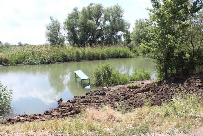 Российские дачники своими руками превратили поросший берег реки в пляж пляж своими руками, превратили берег реки в пляж