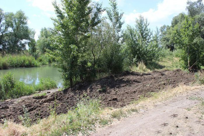 Российские дачники своими руками превратили поросший берег реки в пляж пляж своими руками, превратили берег реки в пляж