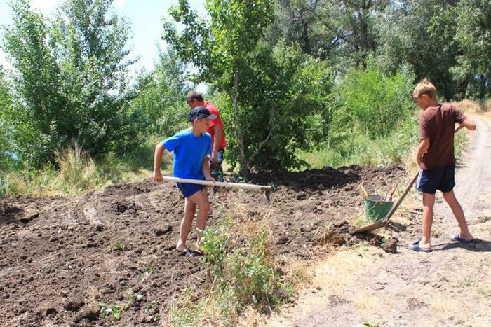 Российские дачники своими руками превратили поросший берег реки в пляж пляж своими руками, превратили берег реки в пляж