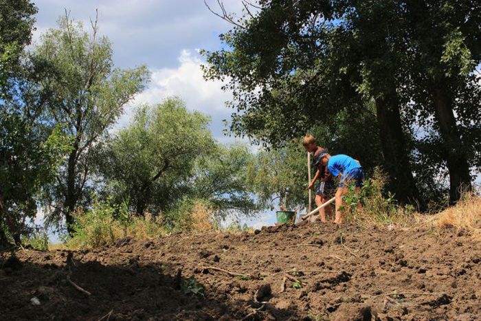 Российские дачники своими руками превратили поросший берег реки в пляж пляж своими руками, превратили берег реки в пляж
