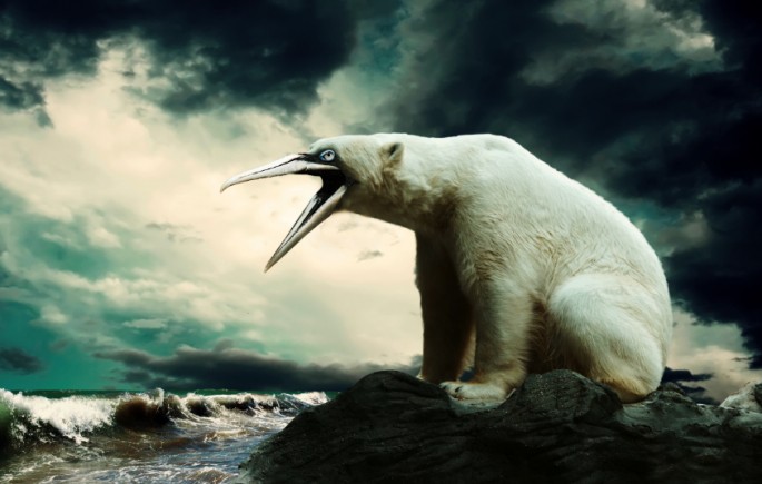 медведи с клювами, медведи клюв