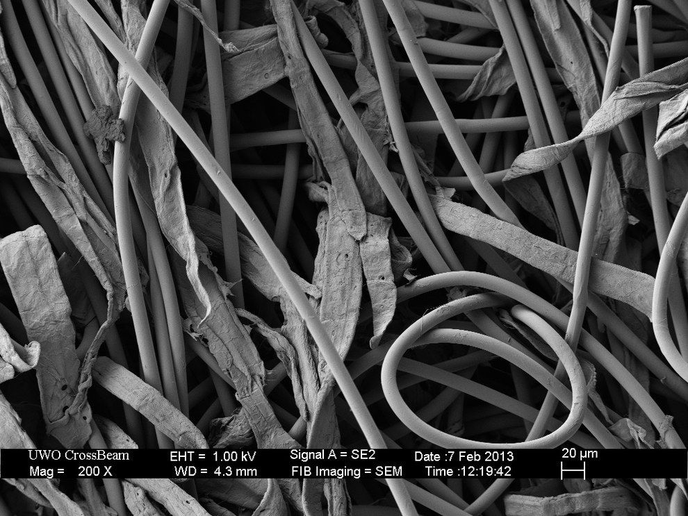 привычные вещи под микроскопом, как выглядят вещи под микроскопом