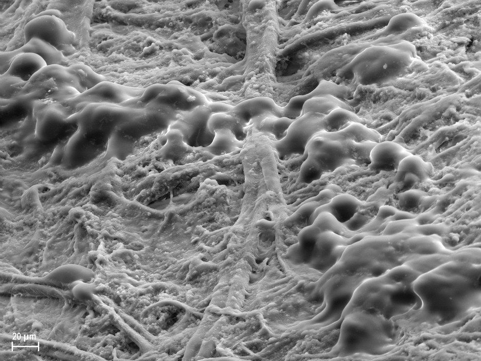 привычные вещи под микроскопом, как выглядят вещи под микроскопом