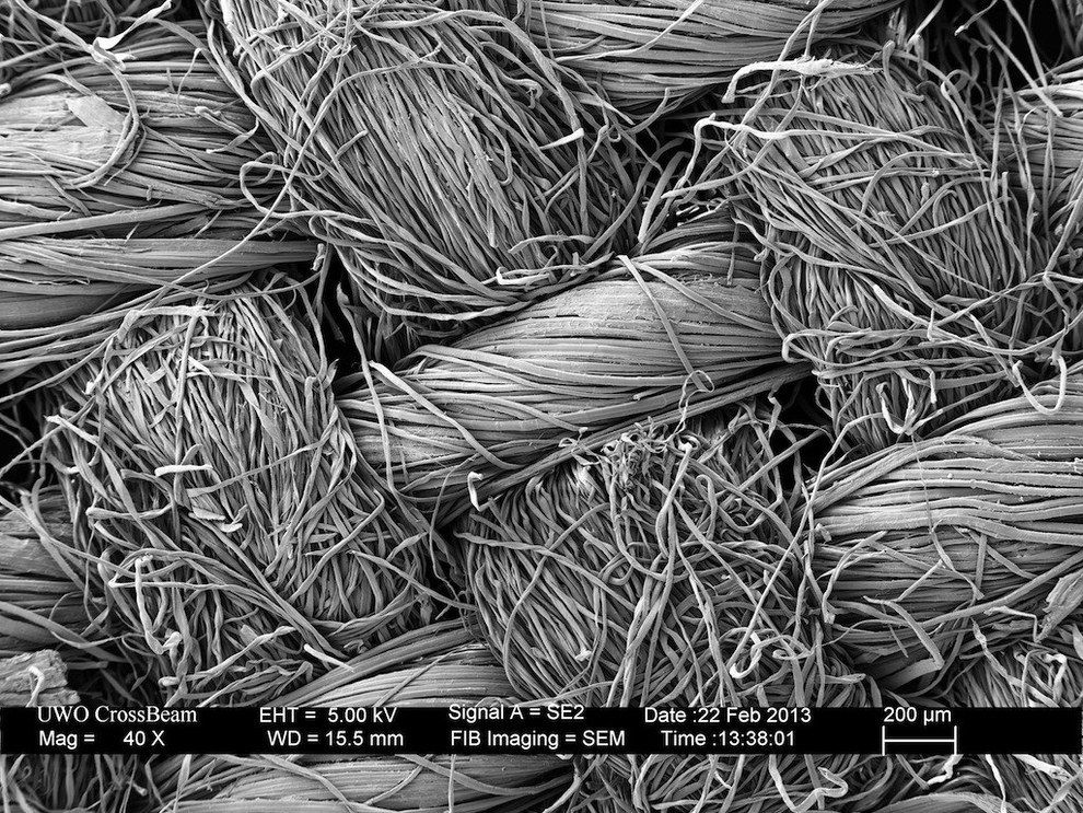 привычные вещи под микроскопом, как выглядят вещи под микроскопом