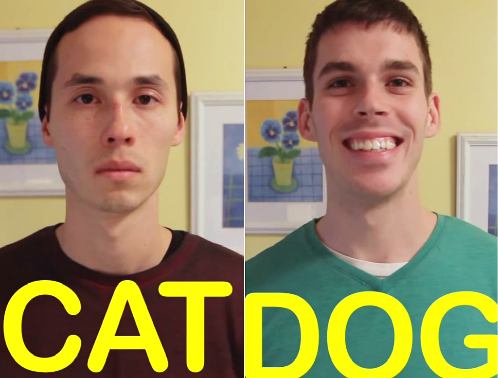 Правдивое и смешное видео, показывающее, насколько сильно кошки отличаются от собак Cat-Friend vs Dog-Friend, насколько сильно кошки отличаются от собак