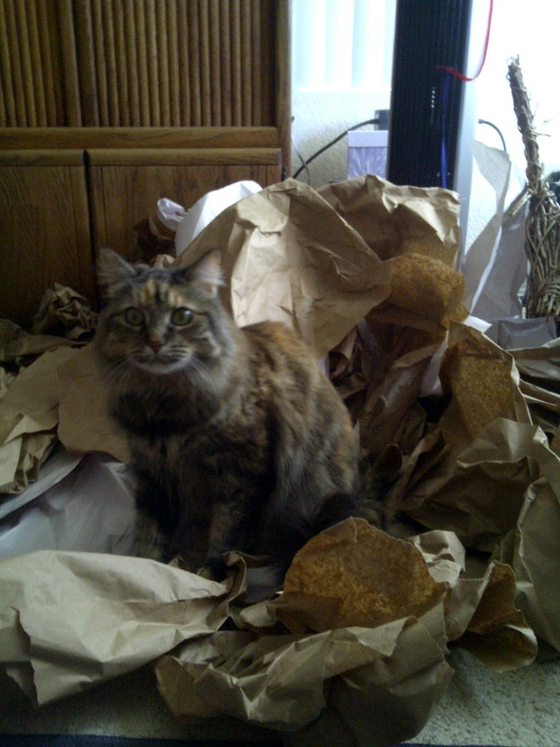 подарок от Билла Гейтса, Секретный санта, redditgifts