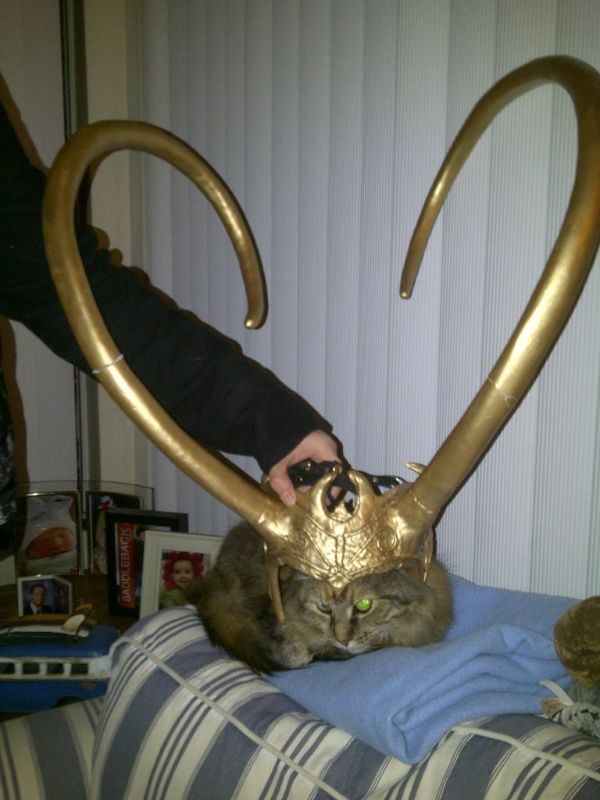 подарок от Билла Гейтса, Секретный санта, redditgifts