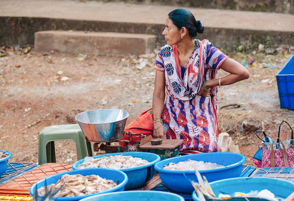 жители Индии о России, индусы индийцы о русских