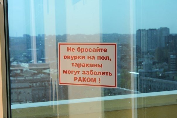 смешные надписи, объявления, маразмы