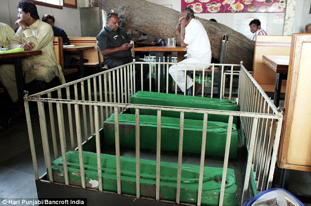 индийский ресторан на кладбище, Lucky Restaurant