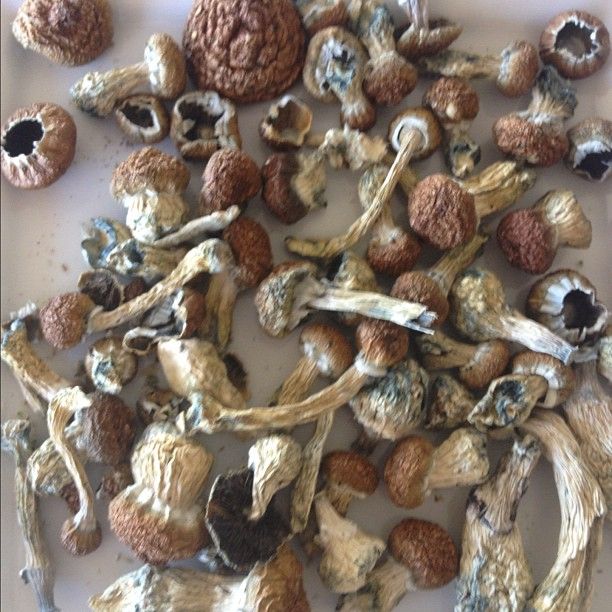 Дэн Билзериан, Dan Bilzerian, роскошная жизнь игрока в покер, король инстаграма, плейбой