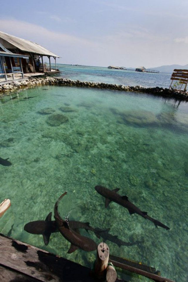 стращные фото, экстремальные фото, мурашки по коже фото