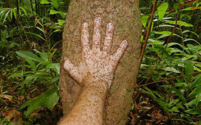 стращные фото, экстремальные фото, мурашки по коже фото