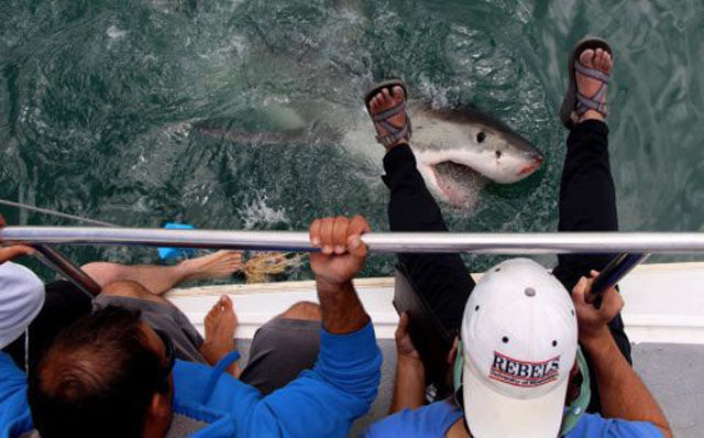 стращные фото, экстремальные фото, мурашки по коже фото