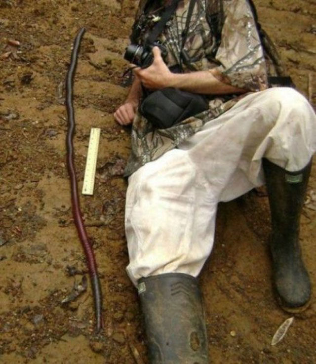 стращные фото, экстремальные фото, мурашки по коже фото