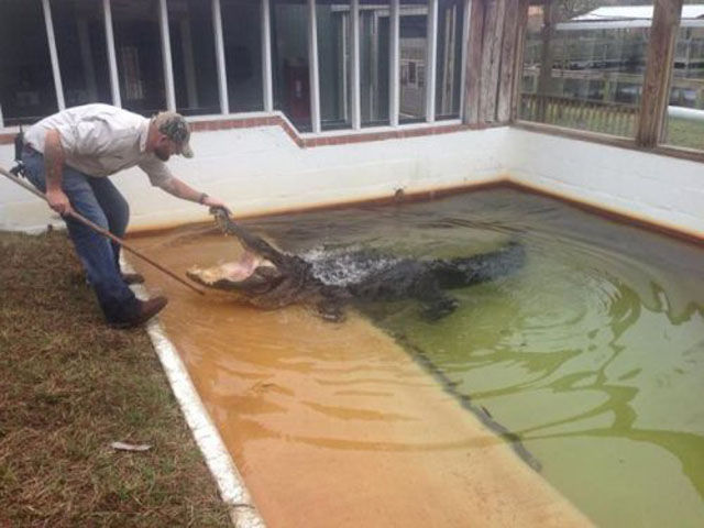 стращные фото, экстремальные фото, мурашки по коже фото