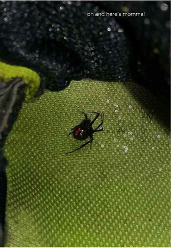 стращные фото, экстремальные фото, мурашки по коже фото