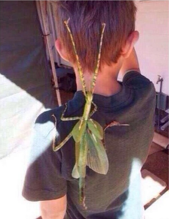 стращные фото, экстремальные фото, мурашки по коже фото