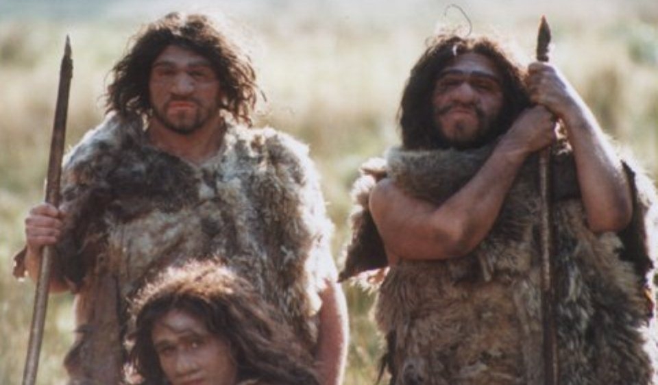 познавательные факты обо всём на свете, спорим вы не знали