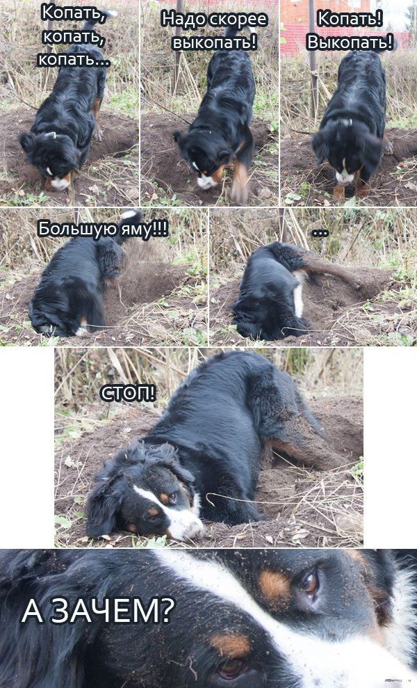 Позитив, юмор, смешные фотографии,прикол