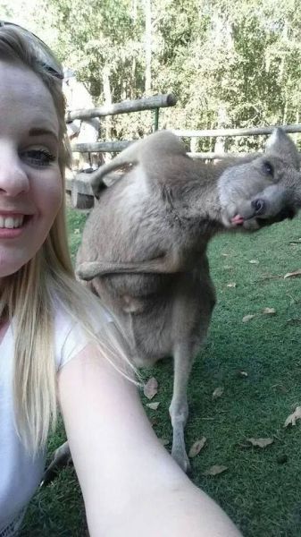 Позитив, юмор, смешные фотографии,прикол