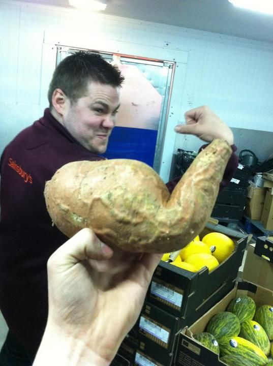 Позитив, юмор, смешные фотографии,прикол