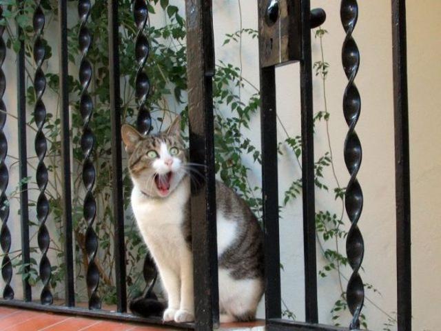 Позитив, юмор, смешные фотографии,прикол