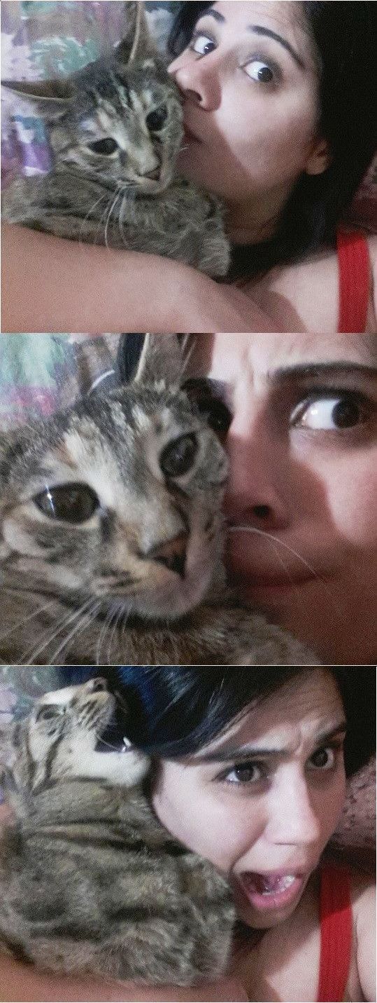 Позитив, юмор, смешные фотографии,прикол