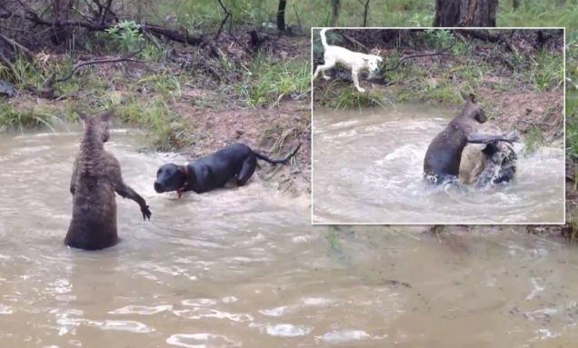 познавательные факты обо всём на свете, спорим вы не знали