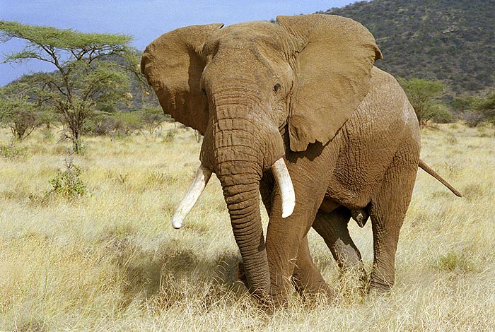 познавательные факты обо всём на свете, спорим вы не знали