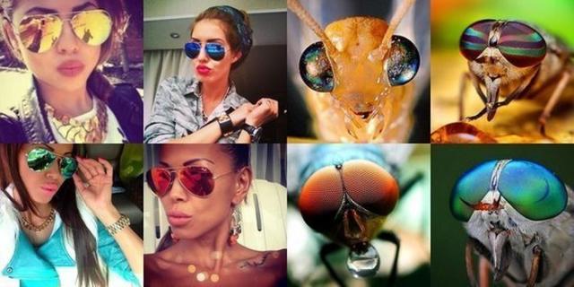 Позитив, юмор, смешные фотографии,прикол