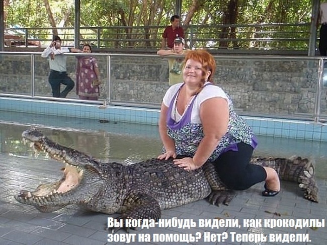 Позитив, юмор, смешные фотографии,прикол