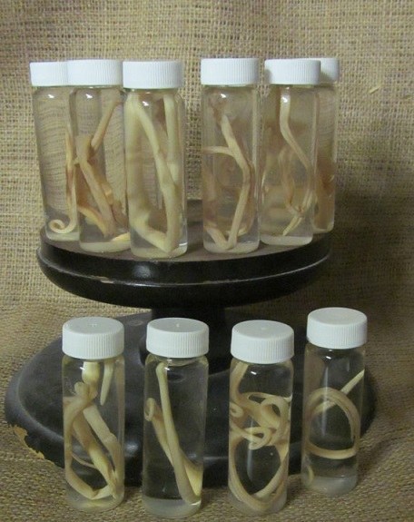 Etsy, страшные вещи, жуткие товары Etsy, страшное своими руками