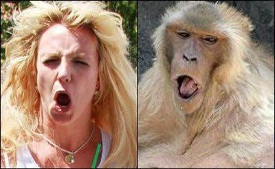 знаменитости и их двойники, двойники голливудских звезд, звезды похожие на людей из истории