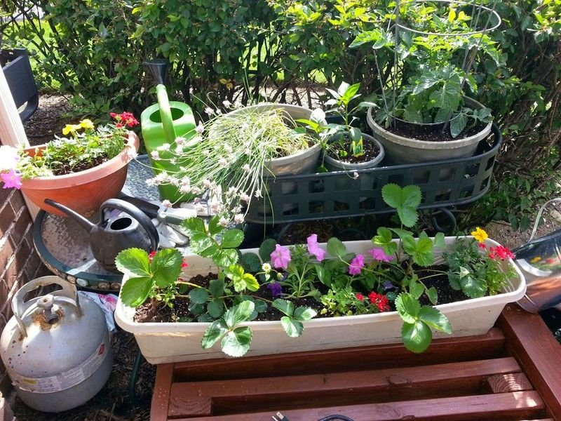 превартил патиое в веранду, ремонт патио, дизайн веранды, дизайн патио, идеи для дома дачи