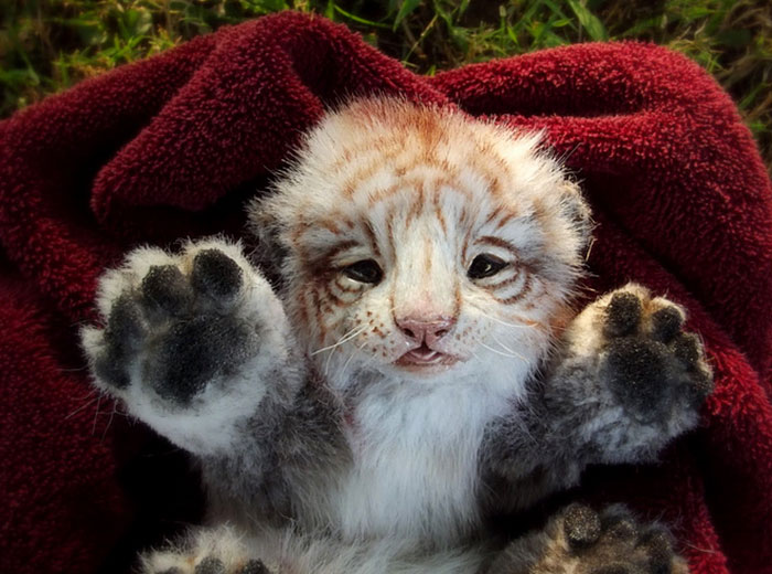 плюшевые игрушки настоящие животные, Ли Кросс, Lee Cross, животные как игрушки