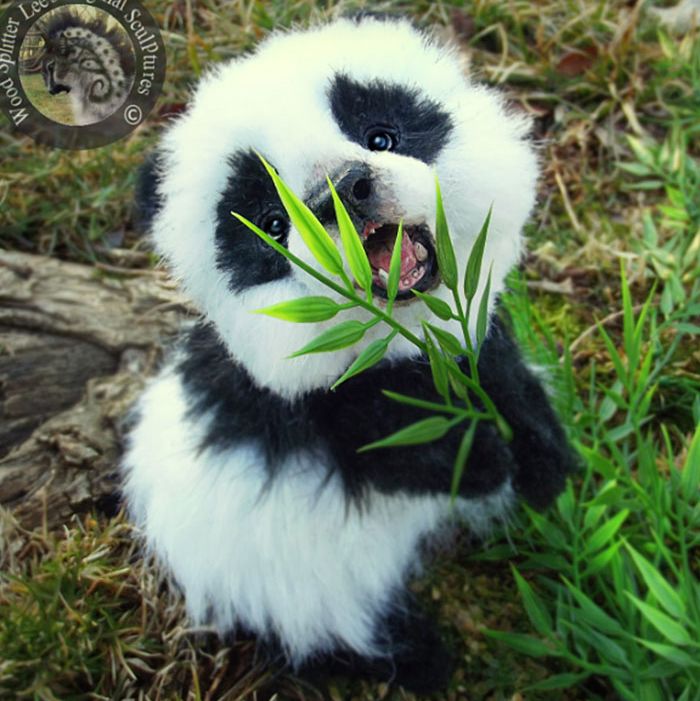 плюшевые игрушки настоящие животные, Ли Кросс, Lee Cross, животные как игрушки