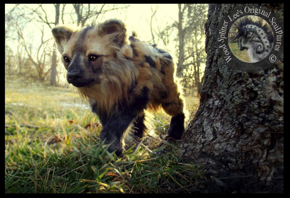 плюшевые игрушки настоящие животные, Ли Кросс, Lee Cross, животные как игрушки