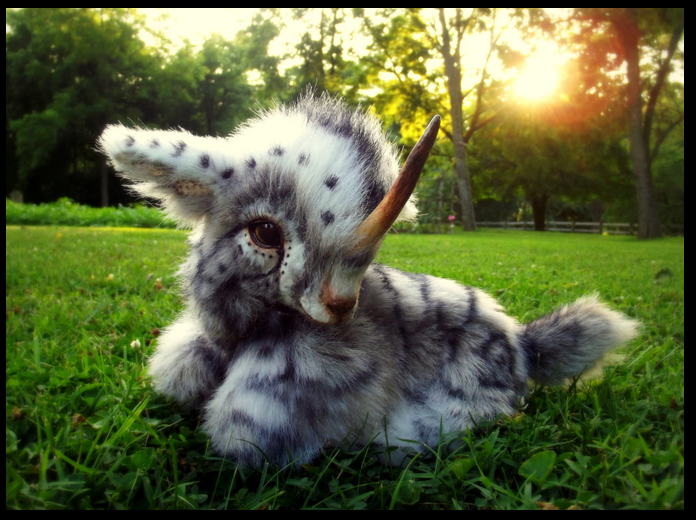 плюшевые игрушки настоящие животные, Ли Кросс, Lee Cross, животные как игрушки