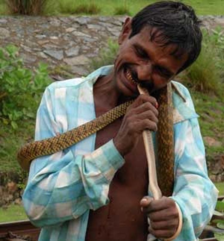 10 животных, которых люди едят заживо