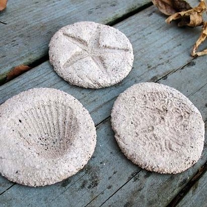 использование кофейной гущи, кофейная гуща использование в доме, кофе от слизняков