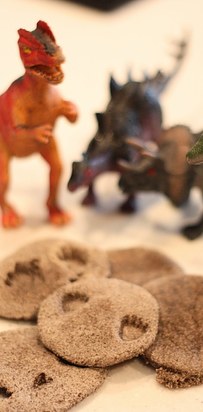 использование кофейной гущи, кофейная гуща использование в доме, кофе от слизняков