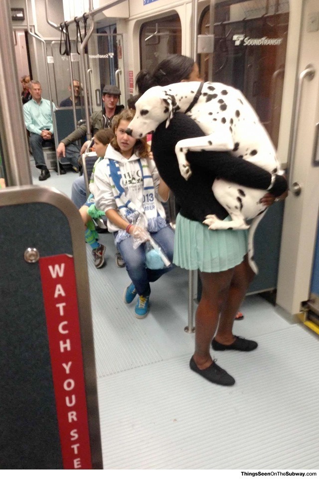 странные пассажиры метро, Безумные пассажиры общественного транспорта