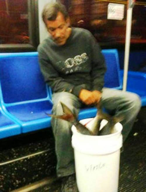 странные пассажиры метро, Безумные пассажиры общественного транспорта