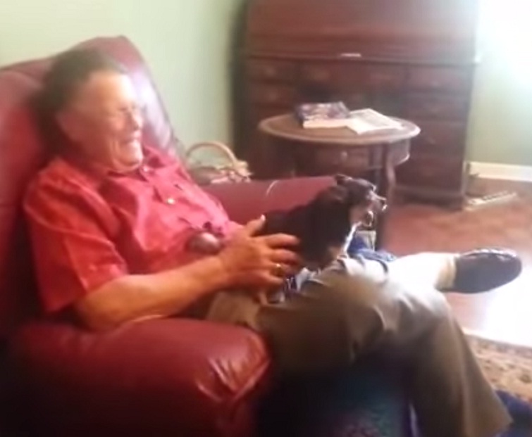 пес умирает парень берет его на руки, парень берет на руки собаку притворяется мертвой