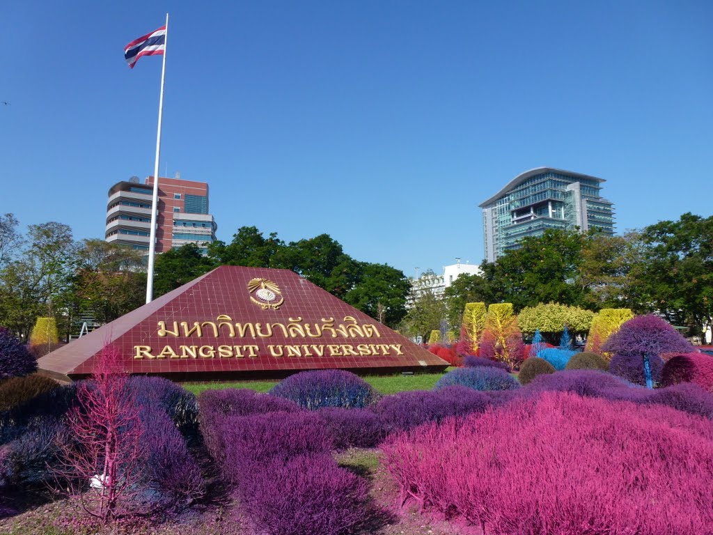 Красочные, яркие, сады, Таиланд, университет Рангсит , Rangsit University